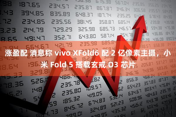 涨盈配 消息称 vivo XFold6 配 2 亿像素主摄，小米 Fold 5 搭载玄戒 O3 芯片